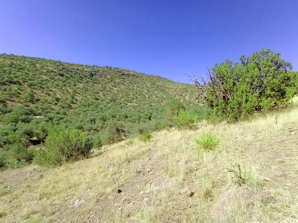 519 Squaw Valley Trail Property Photo 5