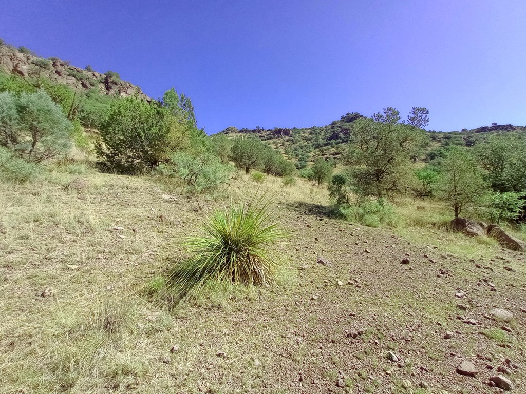 519 Squaw Valley Trail Property Photo 6