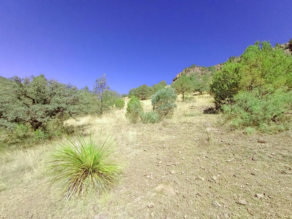 519 Squaw Valley Trail Property Photo 8