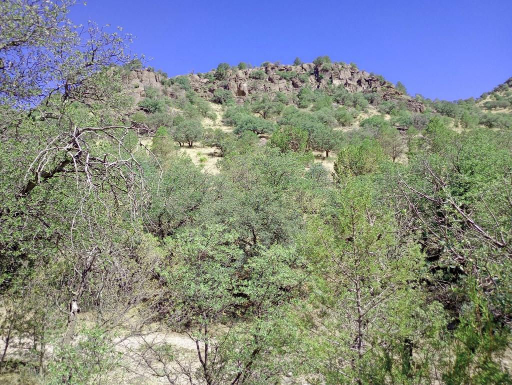 519 Squaw Valley Trail Property Photo 9