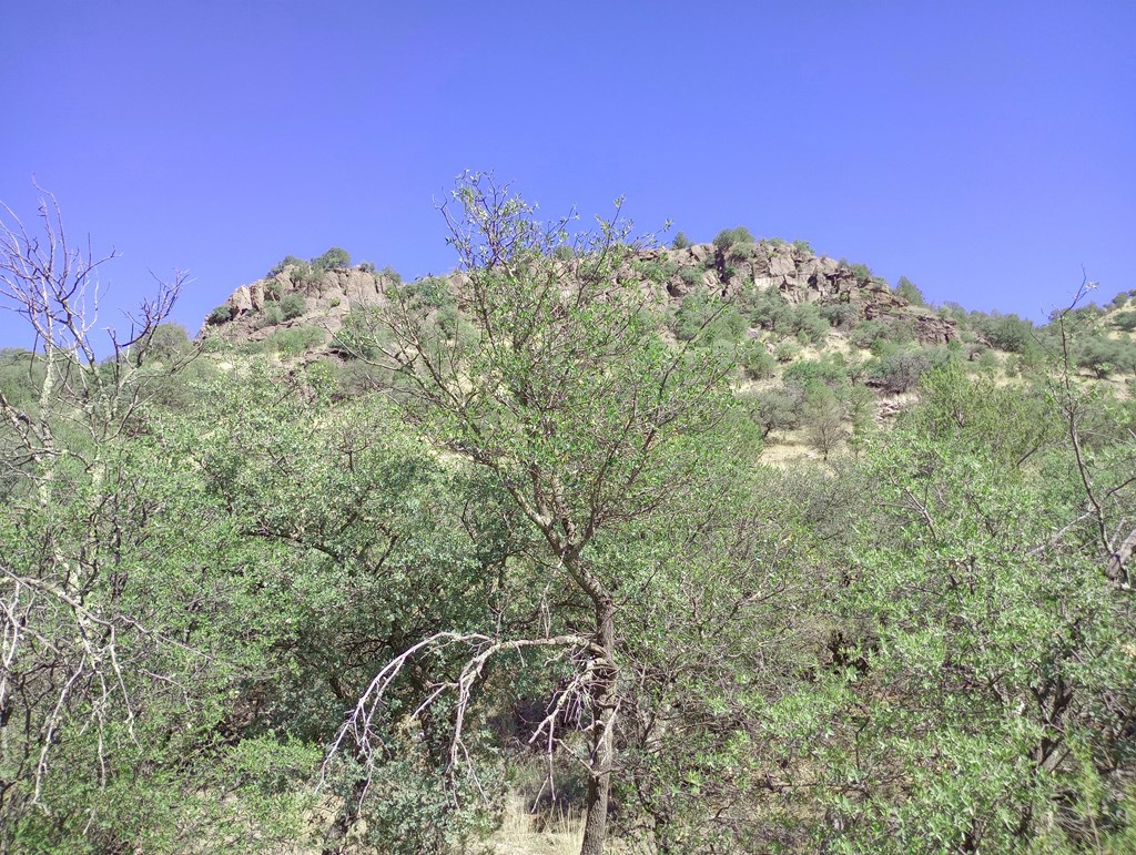 519 Squaw Valley Trail Property Photo 10