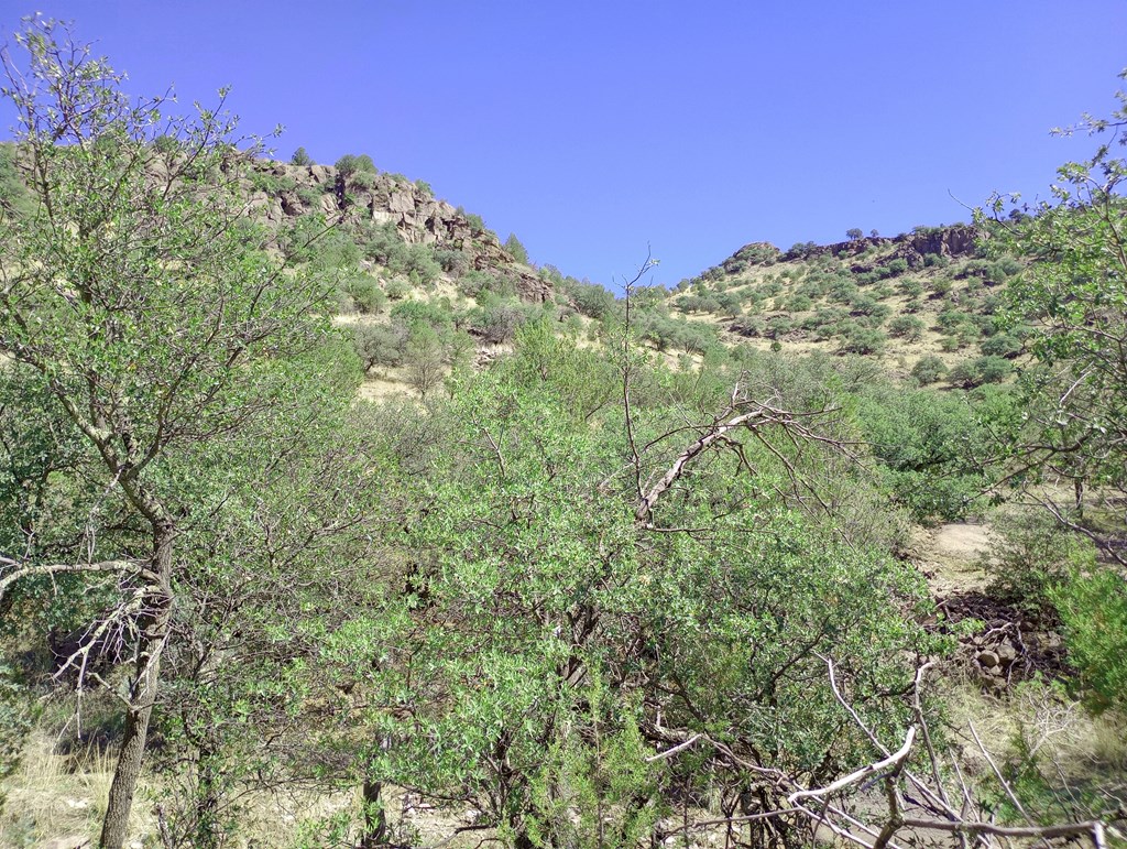 519 Squaw Valley Trail Property Photo 11