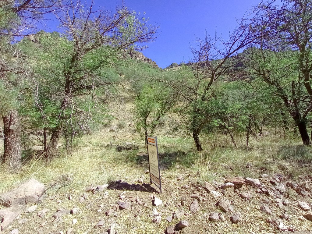 519 Squaw Valley Trail Property Photo 12