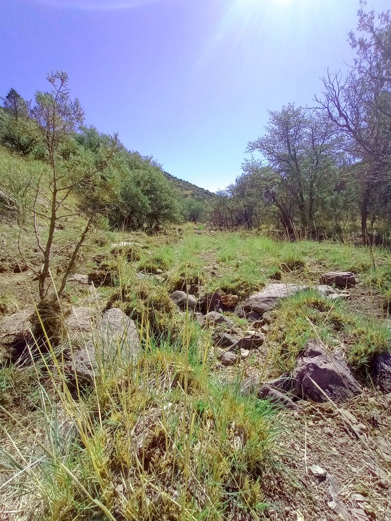 519 Squaw Valley Trail Property Photo 13