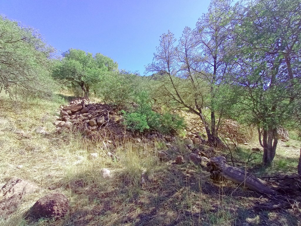 519 Squaw Valley Trail Property Photo 14