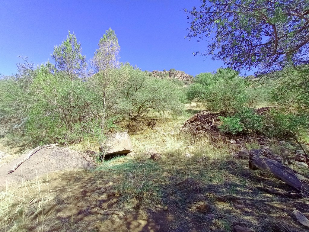 519 Squaw Valley Trail Property Photo 15