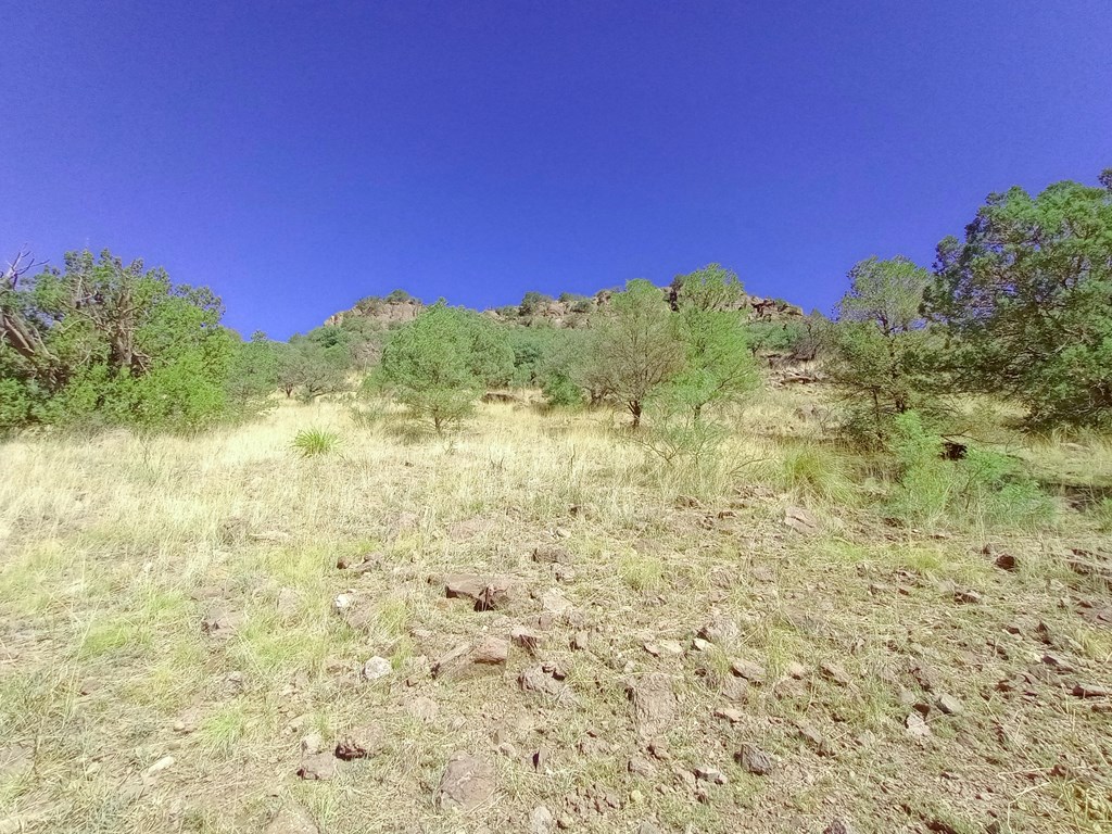 519 Squaw Valley Trail Property Photo 16