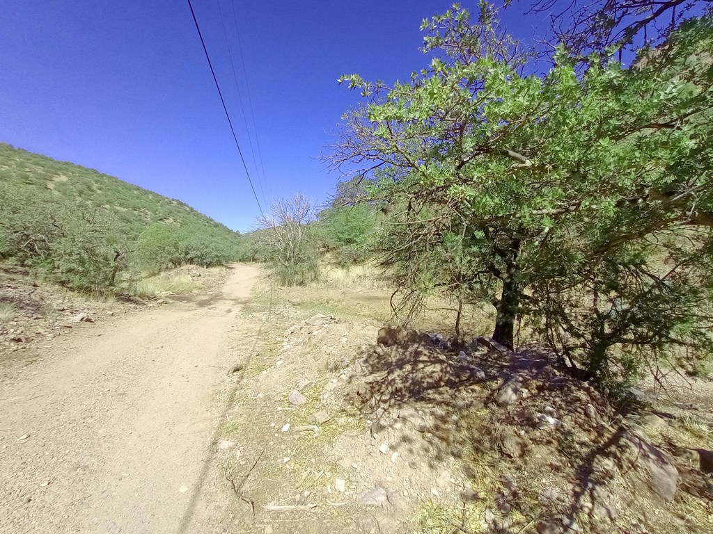 519 Squaw Valley Trail Property Photo 18