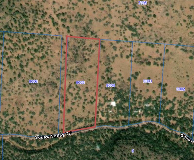 519 Squaw Valley Trail Property Photo 19