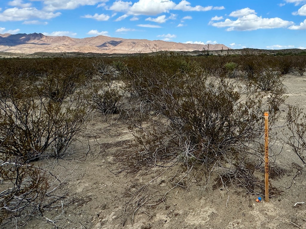 Tr 8282 Rocking L Ranch Rd Property Photo 19