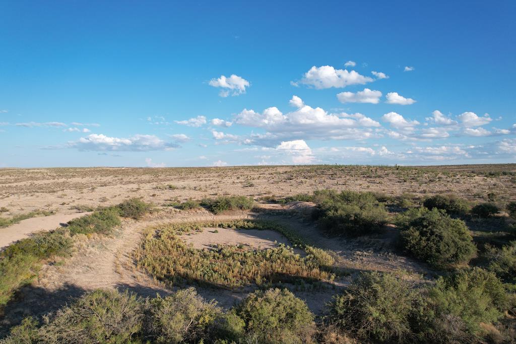 4 Bridle Path Run Property Photo 1
