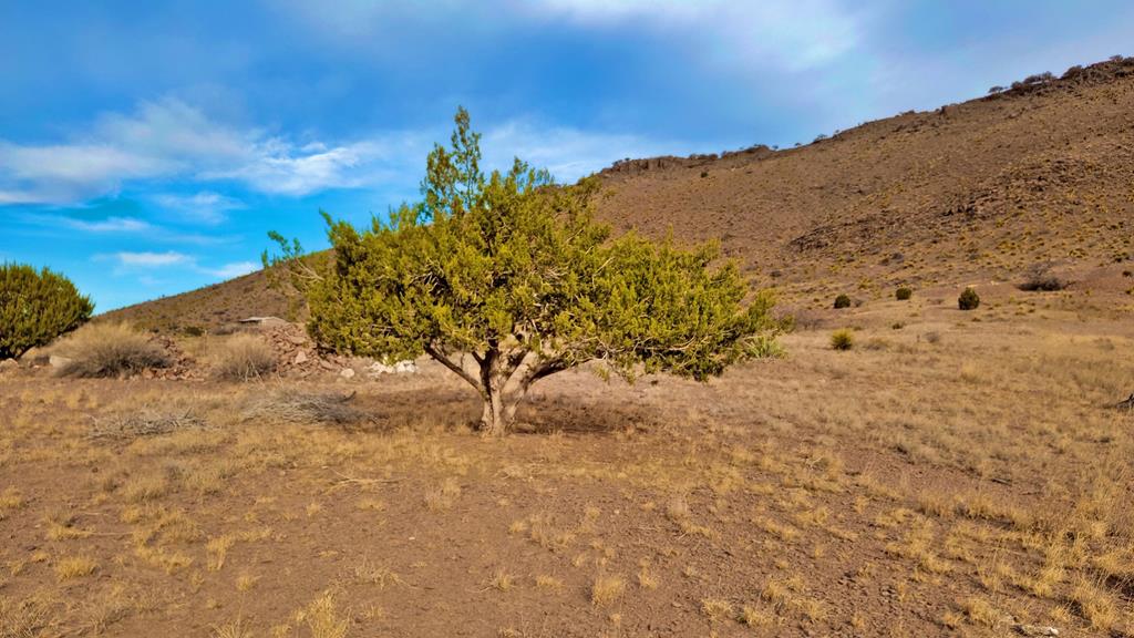 105 Comanche Trail Property Photo
