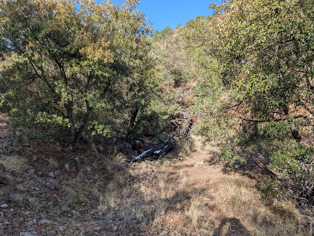 402 Colleen Canyon Trail Property Photo