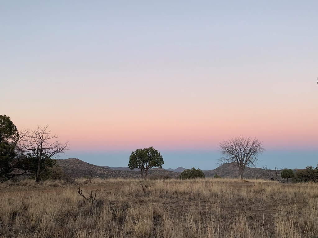 104 Low Meadow Point Property Photo 4