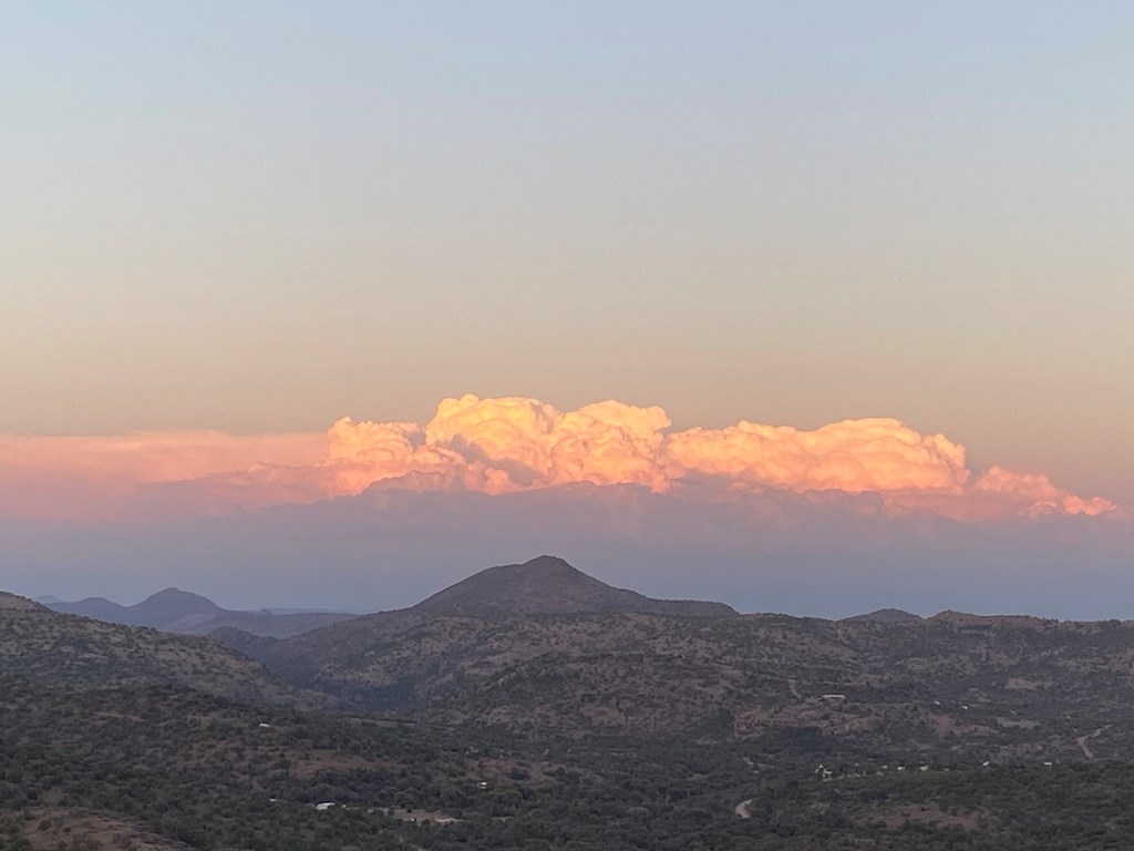 104 Low Meadow Point Property Photo 5