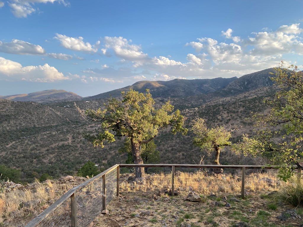 104 Low Meadow Point Property Photo 17