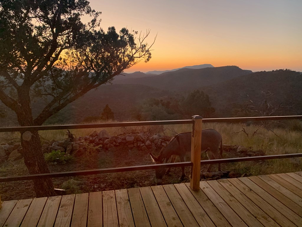 104 Low Meadow Point Property Photo 18