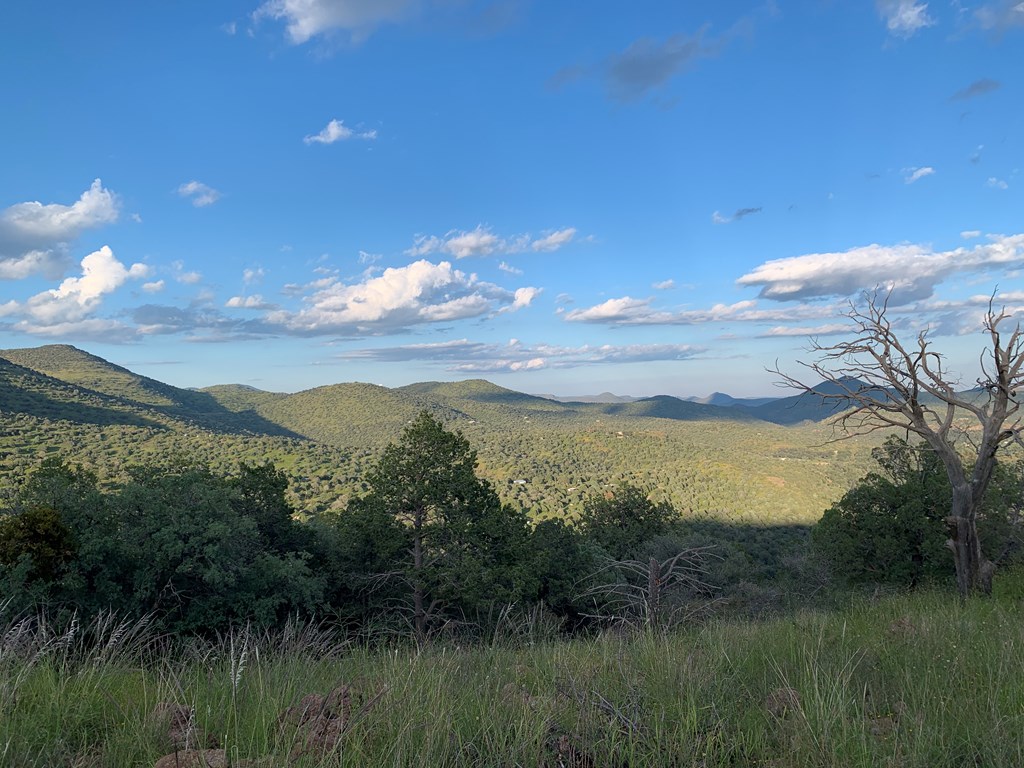 104 Low Meadow Point Property Photo 20