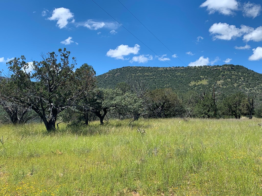 104 Low Meadow Point Property Photo 21