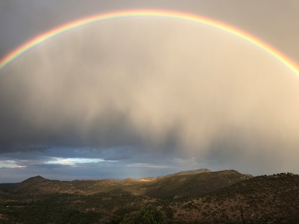 104 Low Meadow Point Property Photo 22