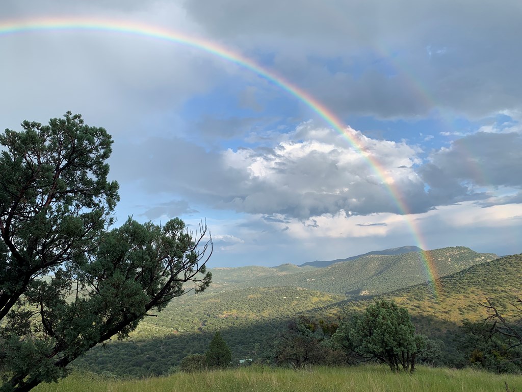 104 Low Meadow Point Property Photo 23