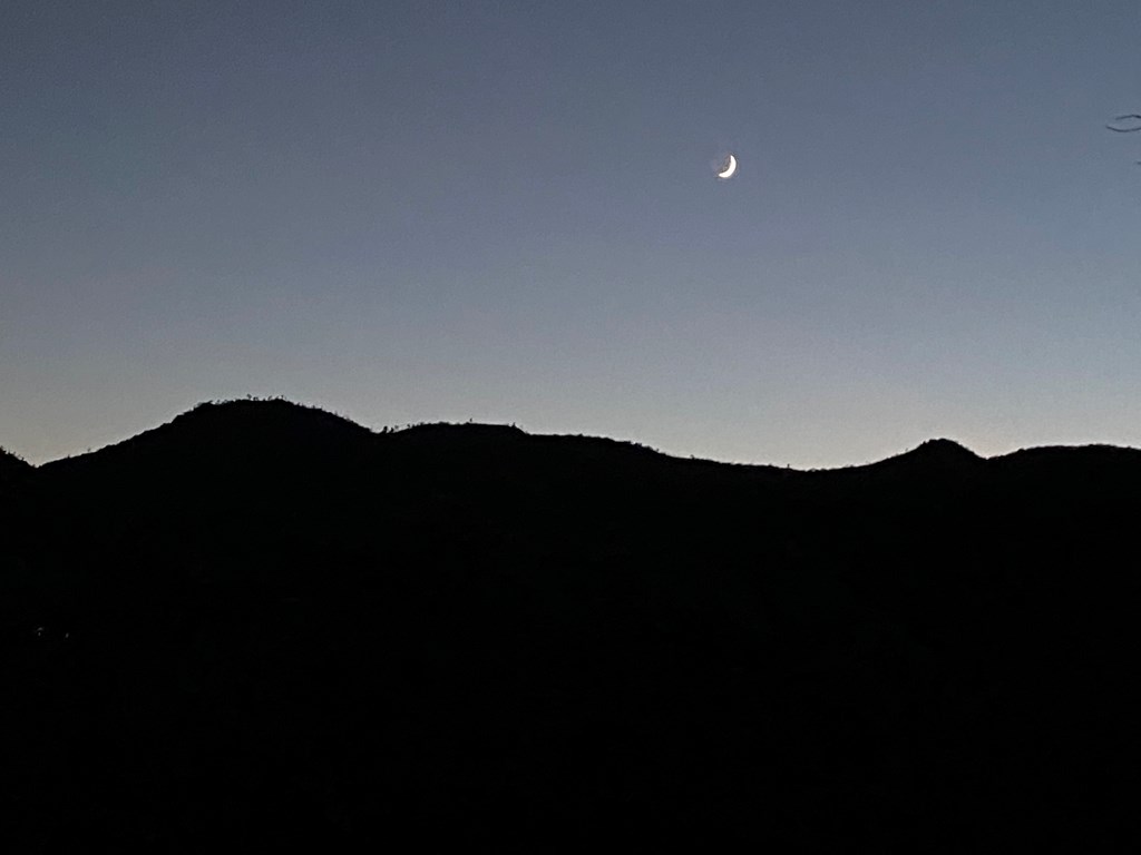 104 Low Meadow Point Property Photo 24