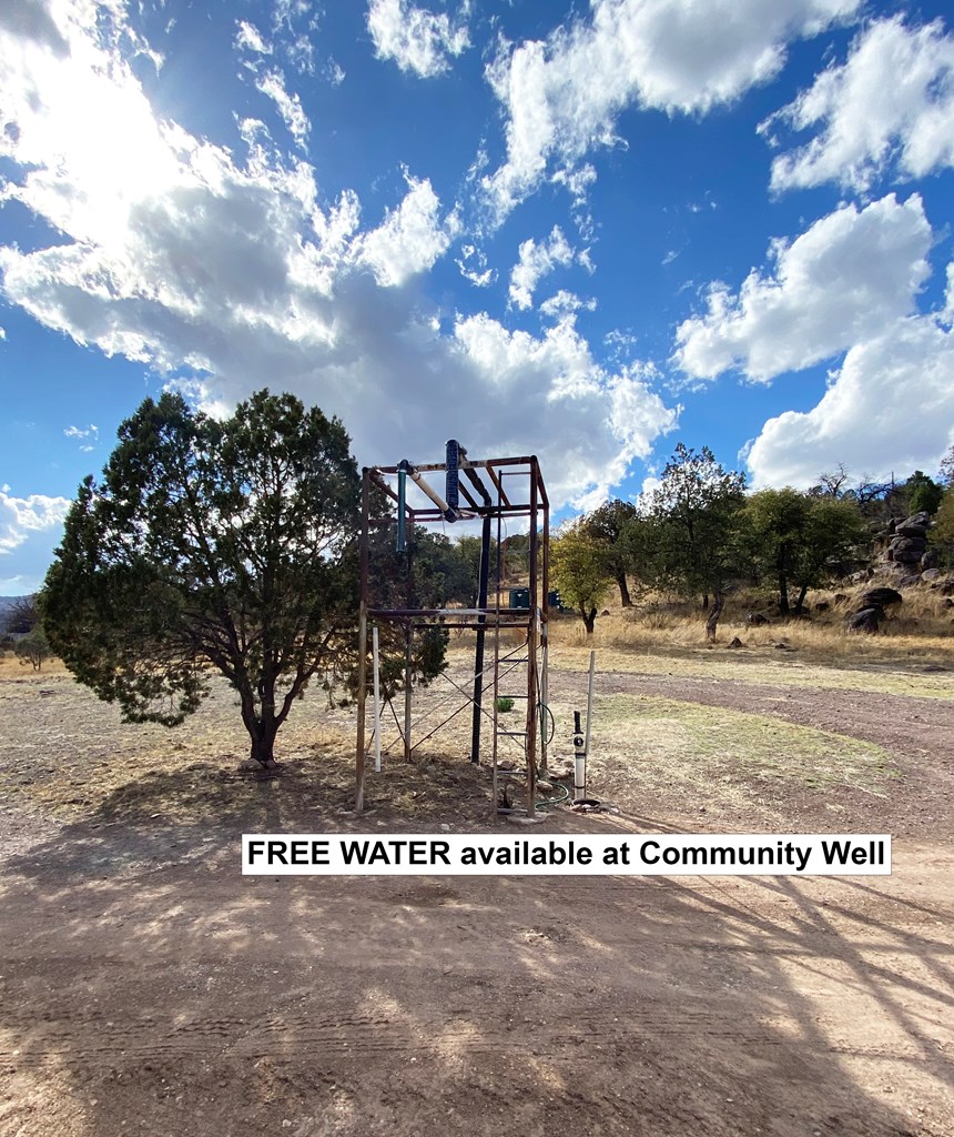 104 Low Meadow Point Property Photo 28