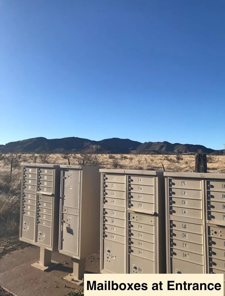 104 Low Meadow Point Property Photo 30