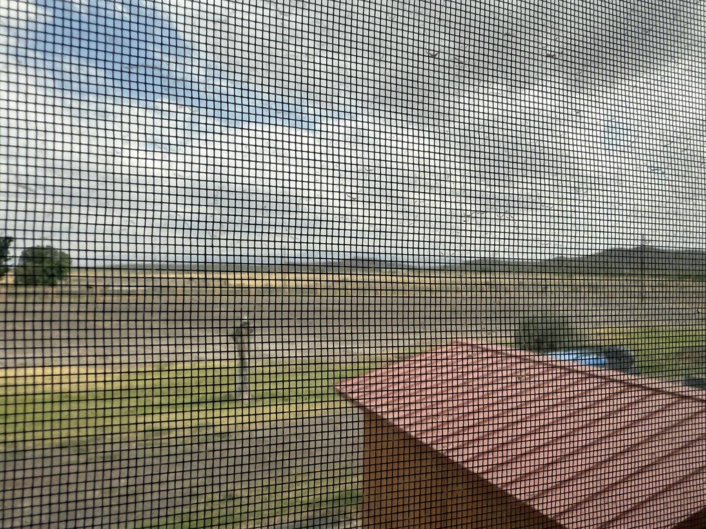 8610 Hwy 17 Property Photo 59