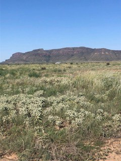 Tract 26 Sendero Horse Thief Property Photo 2