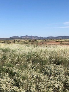 Tract 26 Sendero Horse Thief Property Photo 4