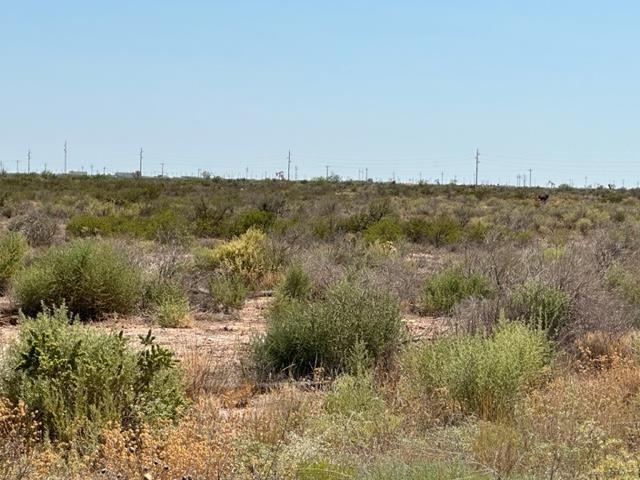 0 E Saltgrass St Property Photo 1