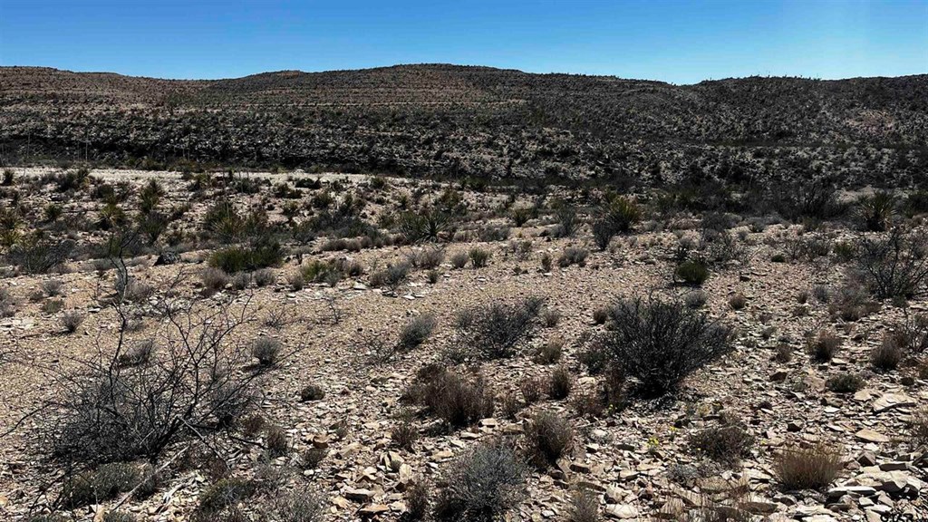 10 Trachyte Property Photo 4