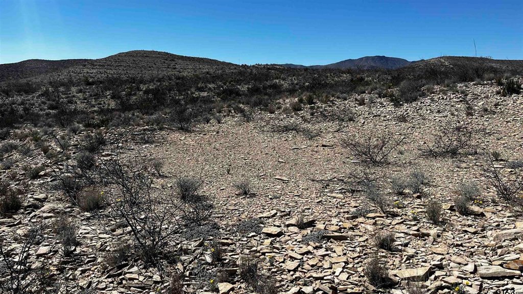 10 Trachyte Property Photo 9
