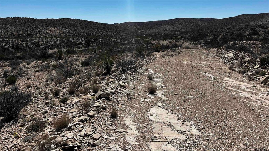 10 Trachyte Property Photo 10