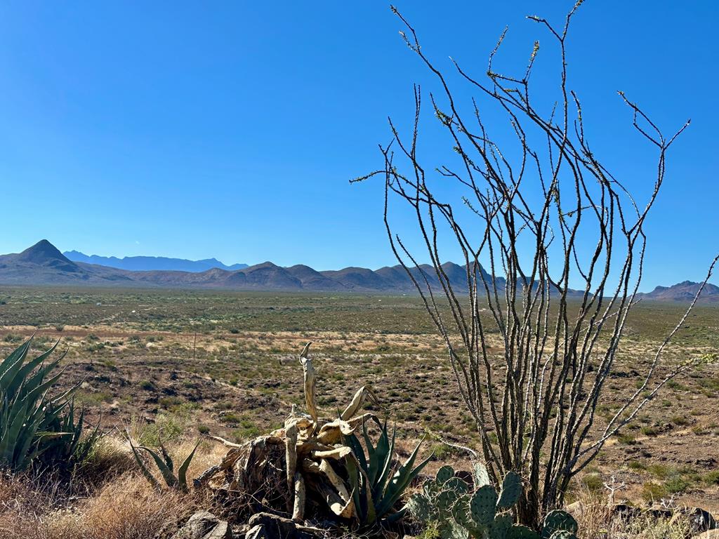 5001 Marathon Property Photo 25