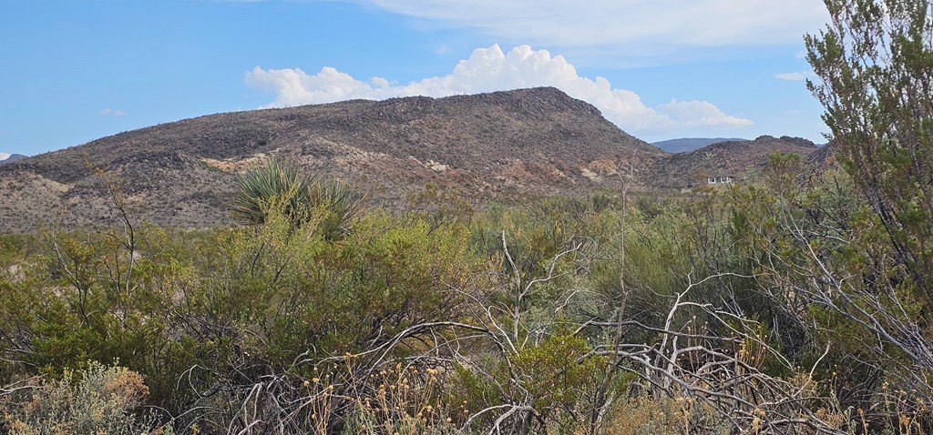 Tr 8281 Rocking L Ranch Rd Property Photo 5