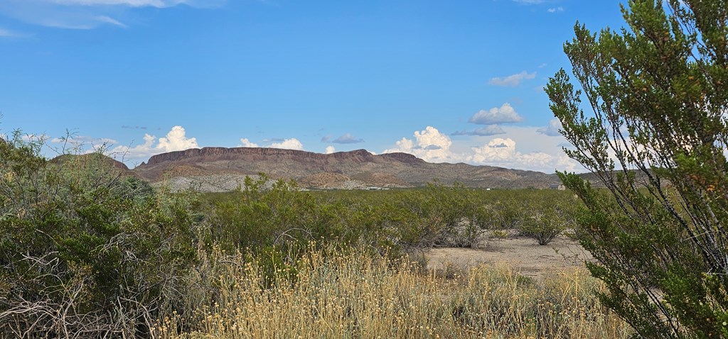 Tr 8281 Rocking L Ranch Rd Property Photo 6