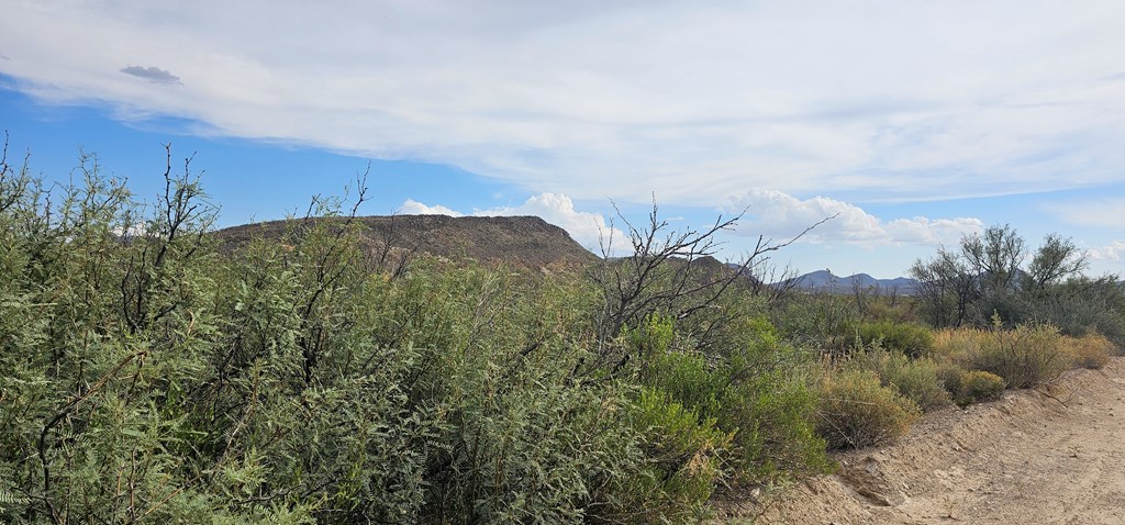 Tr 8281 Rocking L Ranch Rd Property Photo 8