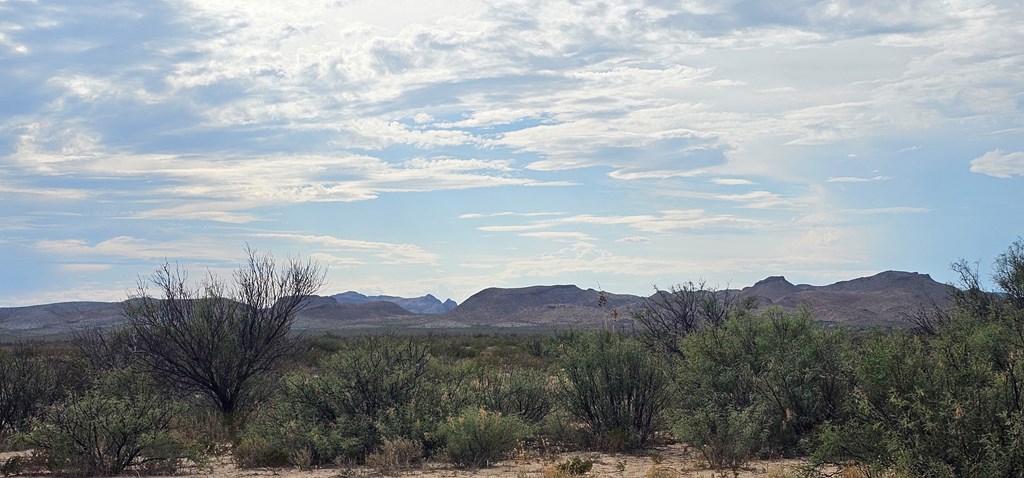 Tr 8281 Rocking L Ranch Rd Property Photo 15