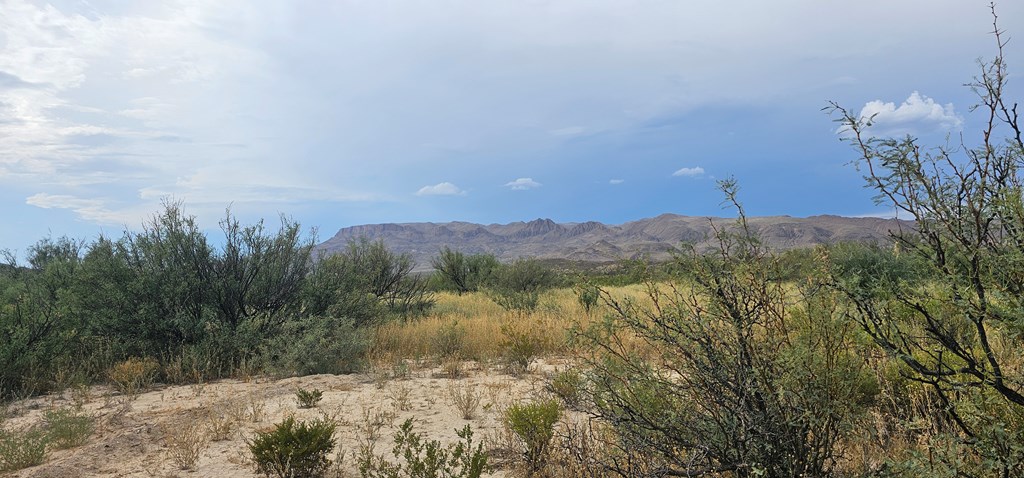 Tr 8281 Rocking L Ranch Rd Property Photo 16