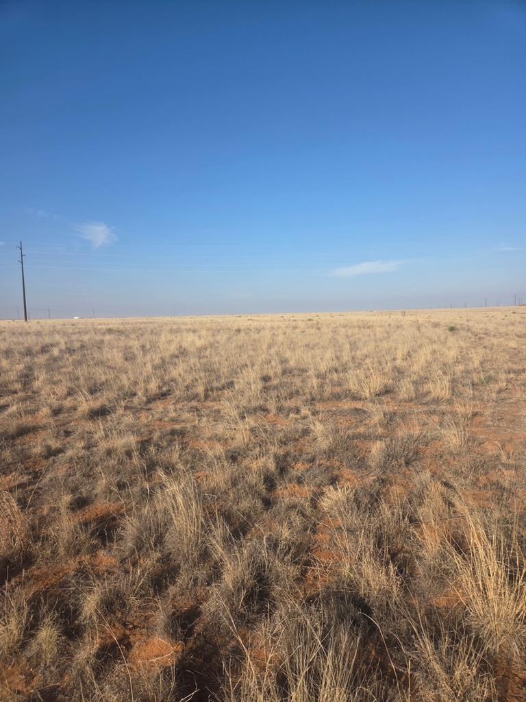 Tbd County Rd 390 Property Photo 1