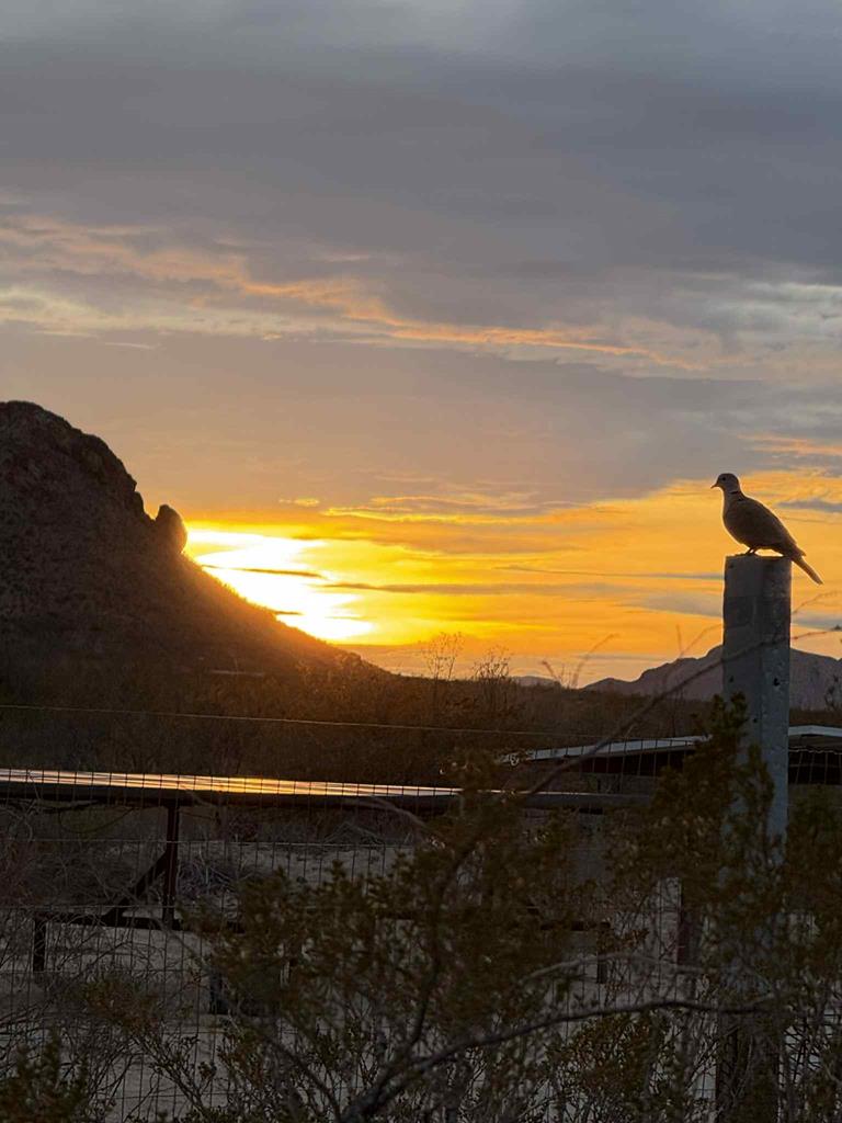 2727 Terlingua Ranch Rd Property Photo 79