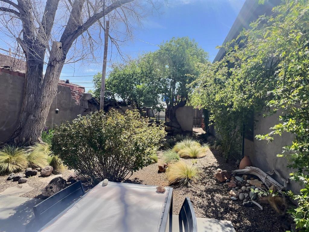 124 E El Paso St Property Photo 19
