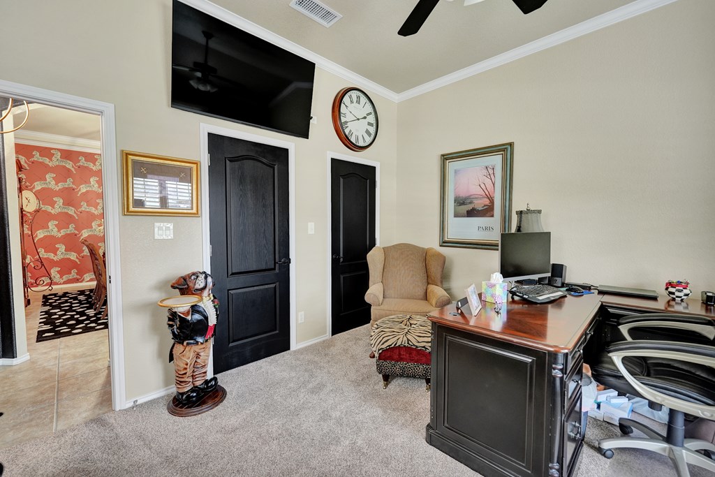 3008 San Martin Property Photo 10