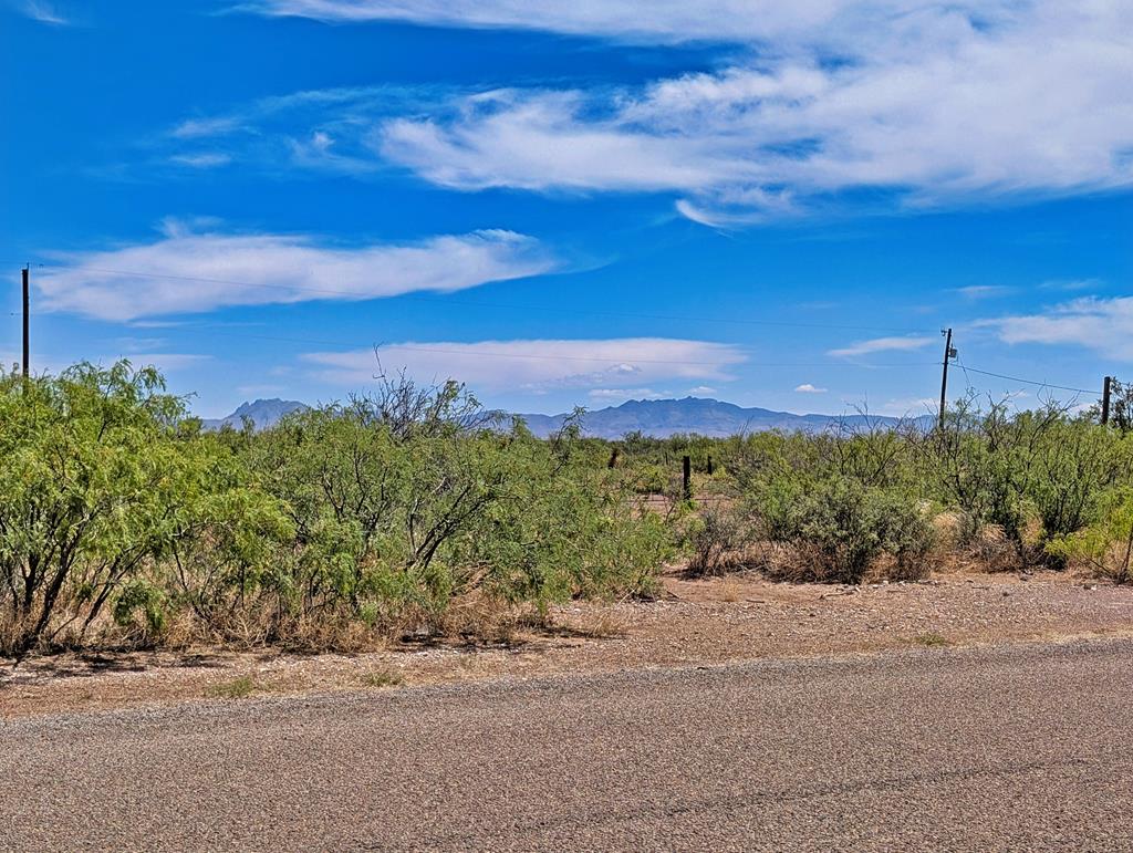 504 Bell Property Photo 1