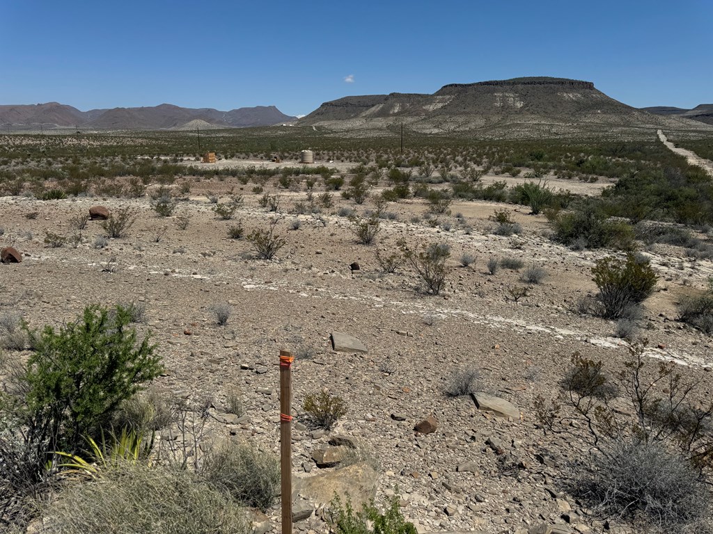 480 Doce Doe Path Property Photo 2