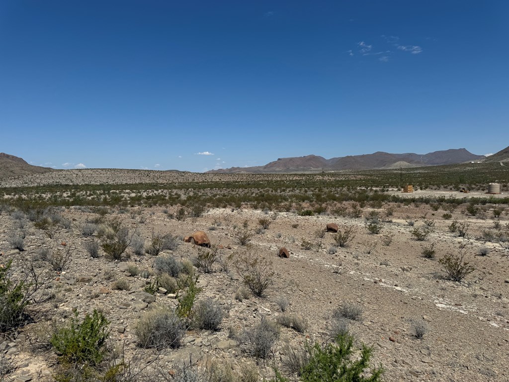 480 Doce Doe Path Property Photo 3