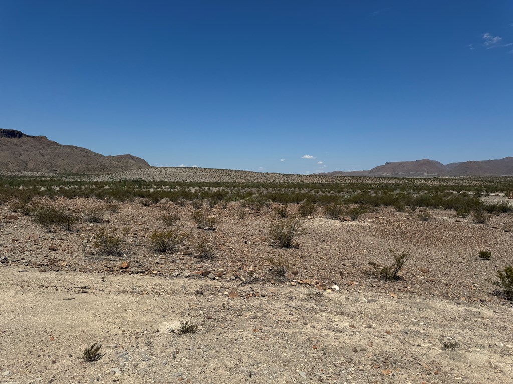 480 Doce Doe Path Property Photo 7