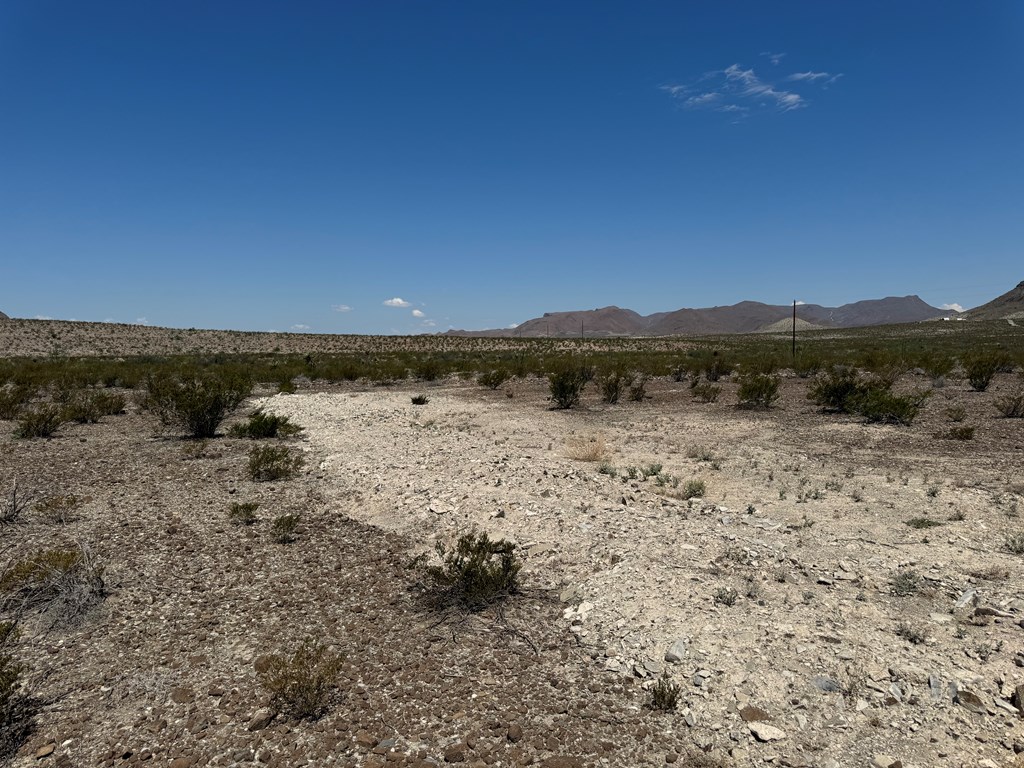 480 Doce Doe Path Property Photo 17